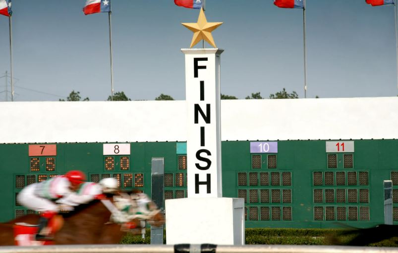 horse racing winners