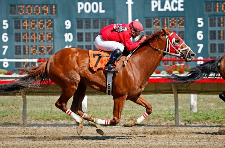 Running Horse