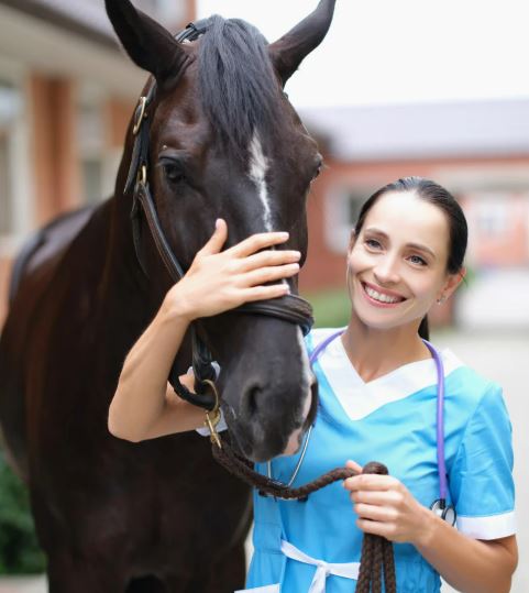 Veterinarian