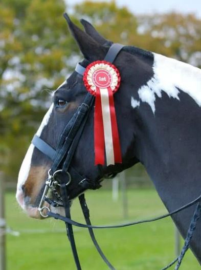 Winning Horse